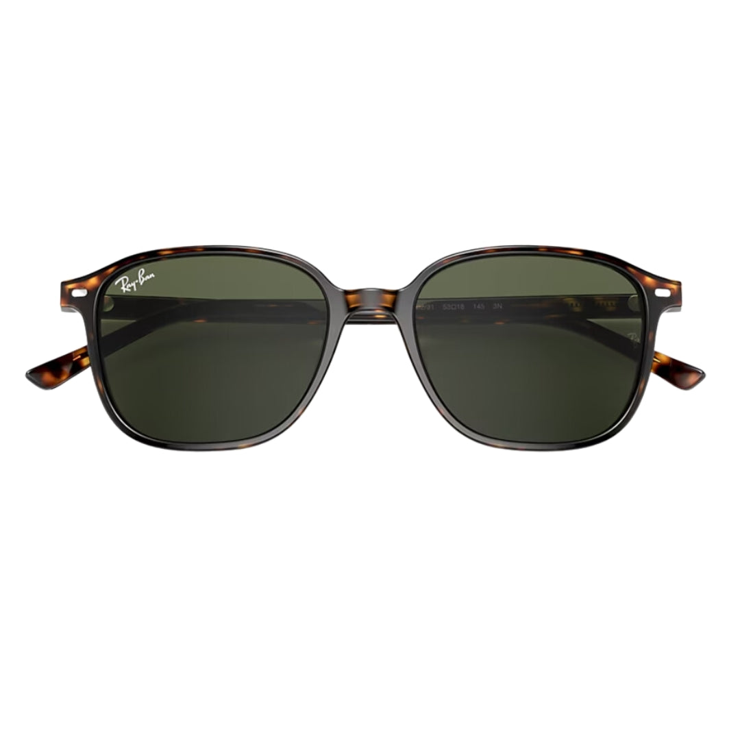 Ray-Ban RB2193 902/31 51-18 Leonard Sunglasses Tortoise Acetate - Green Lenses Close Up View