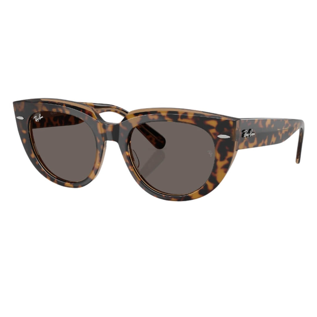 Ray-Ban Doreen RB2286 1292B1 - Havana Transparent Brown Frame, Dark Grey Lens Front Left View
