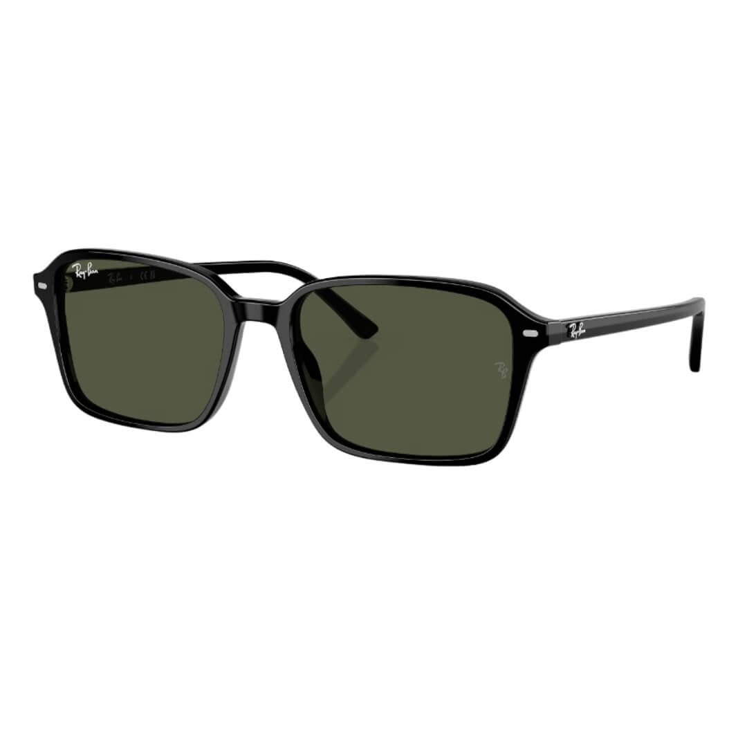 Ray-Ban Raimond RB2231 901/31 - Black Frame with Green Lens Front Left View
