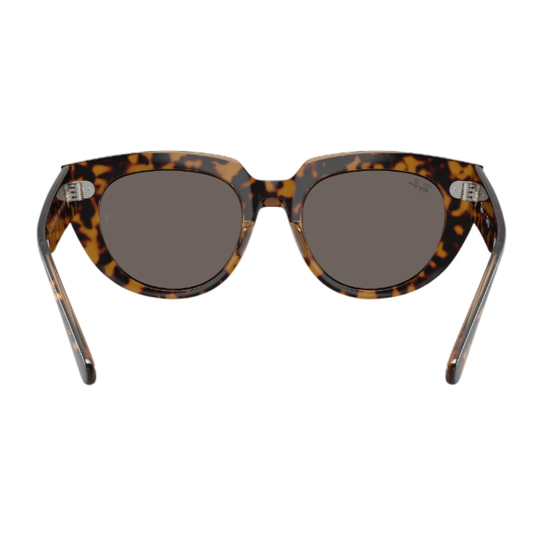 Ray-Ban Doreen RB2286 1292B1 - Havana Transparent Brown Frame, Dark Grey Lens Back Side View
