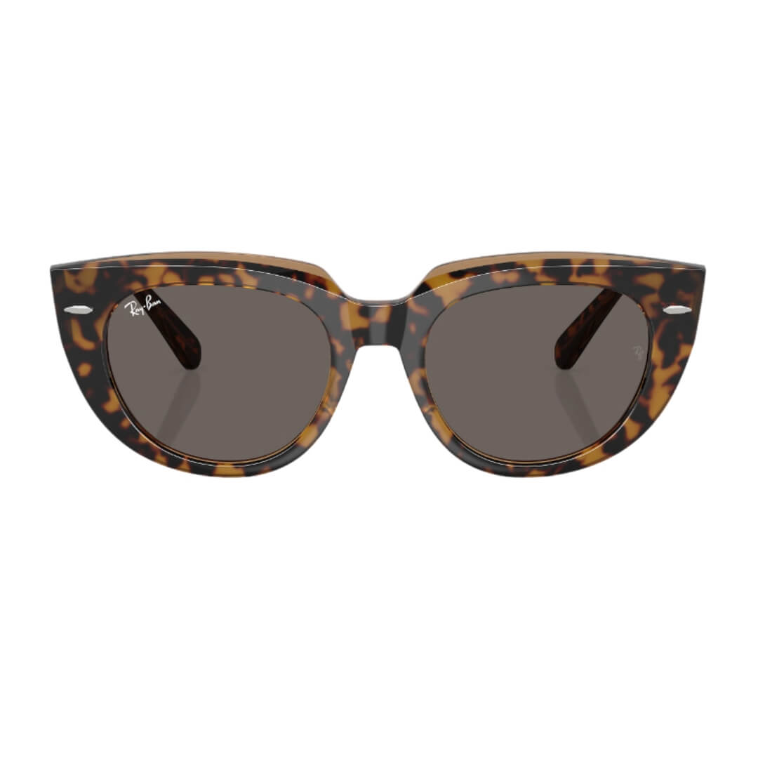 Ray-Ban Doreen RB2286 1292B1 - Havana Transparent Brown Frame, Dark Grey Lens Close Up Front View
