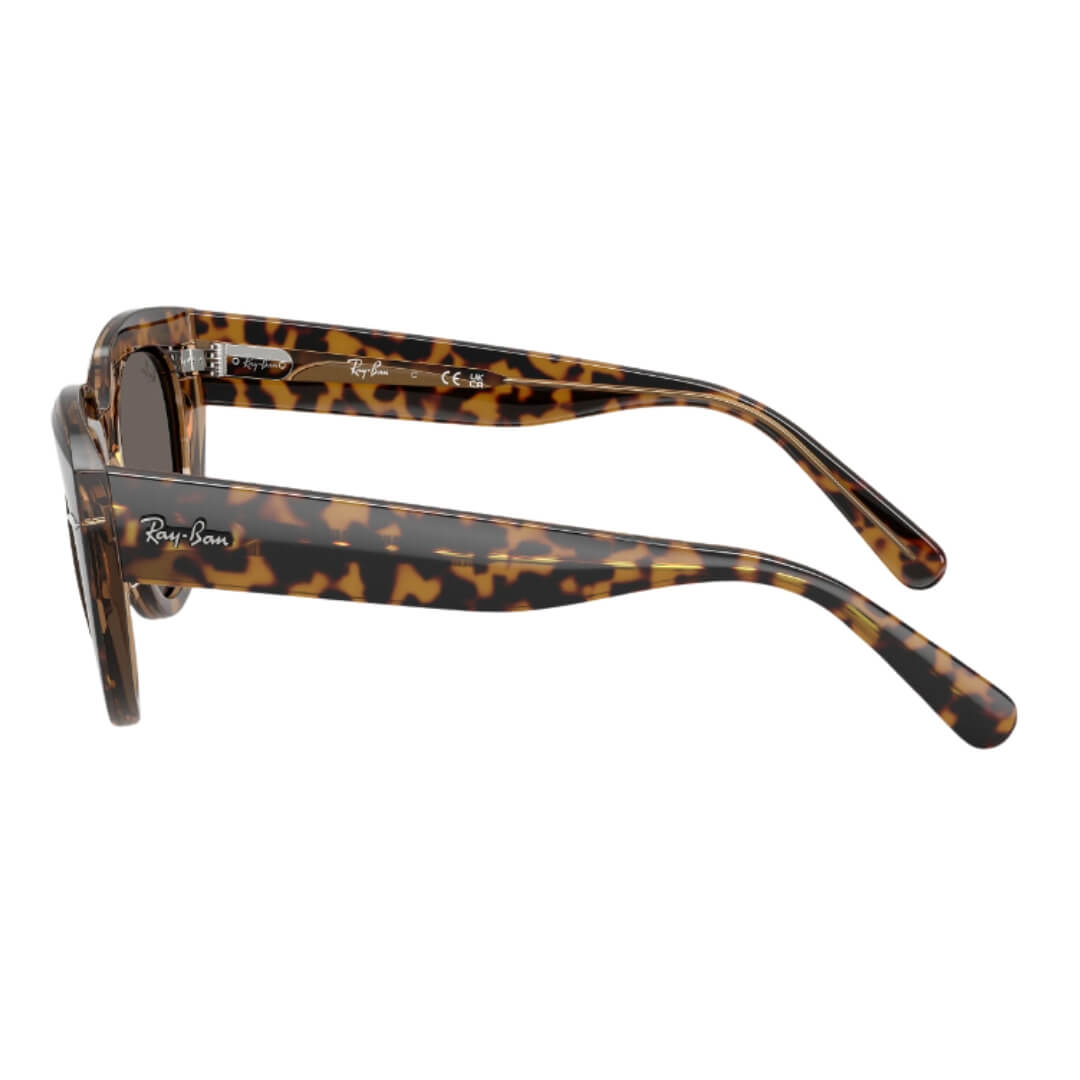 Ray-Ban Doreen RB2286 1292B1 - Havana Transparent Brown Frame, Dark Grey Side Frame View