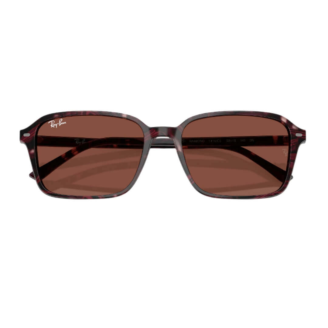 Ray-Ban Raimond RB2231 1416C5 - Transparent Fantasy Violet/Red Frame, Red Lens Folded View
