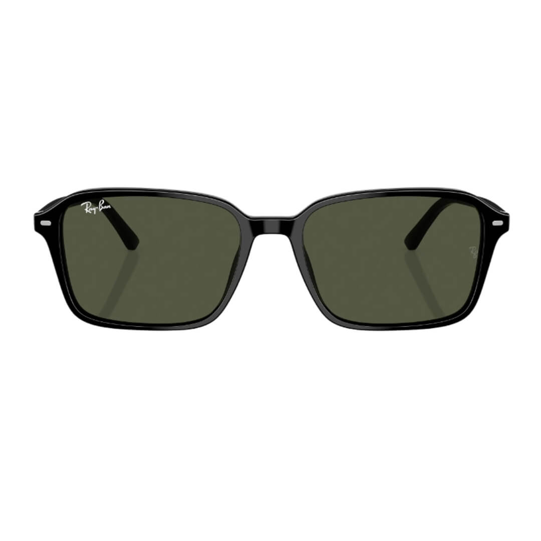 Ray-Ban Raimond RB2231 901/31 - Black Frame with Green Lens Close Up Front View
