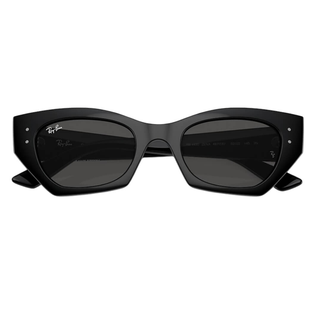 Ray-Ban Zena RB4430 667787 49 Black Frame with Dark Grey Lens Folded View